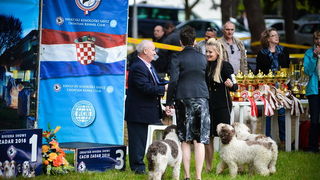 16. Međunarodna izložba pasa CACIB Zadar – Prvak prvaka 2016. 16. Međunarodna izložba pasa CACIB Zadar – Prvak prvaka 2016.