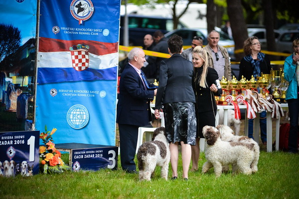 16. Međunarodna izložba pasa CACIB Zadar – Prvak prvaka 2016. 16. Međunarodna izložba pasa CACIB Zadar – Prvak prvaka 2016.