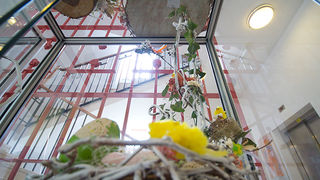 Izložba u GKZD Arbanasi, ”Rukotvorine”