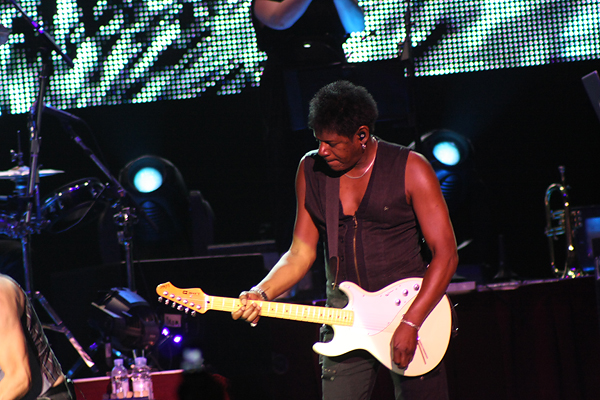 Seal u Zadru 14. srpnja 2010. (foto:Saša Čuka)