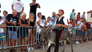 U Tribunju su održane 49. po redu magareće trke na kojima je sudjelovalo 12 jahača, a pobjedu je odnio Roko Popov na magarcu Renault 4. Photo: Duško Jaramaz/PIXSELL U Tribunju su održane 49. po redu magareće trke na kojima je sudjelovalo 12 jahača, a pobjedu je odnio Roko Popov na magarcu Renault 4. Photo: Duško Jaramaz/PIXSELL