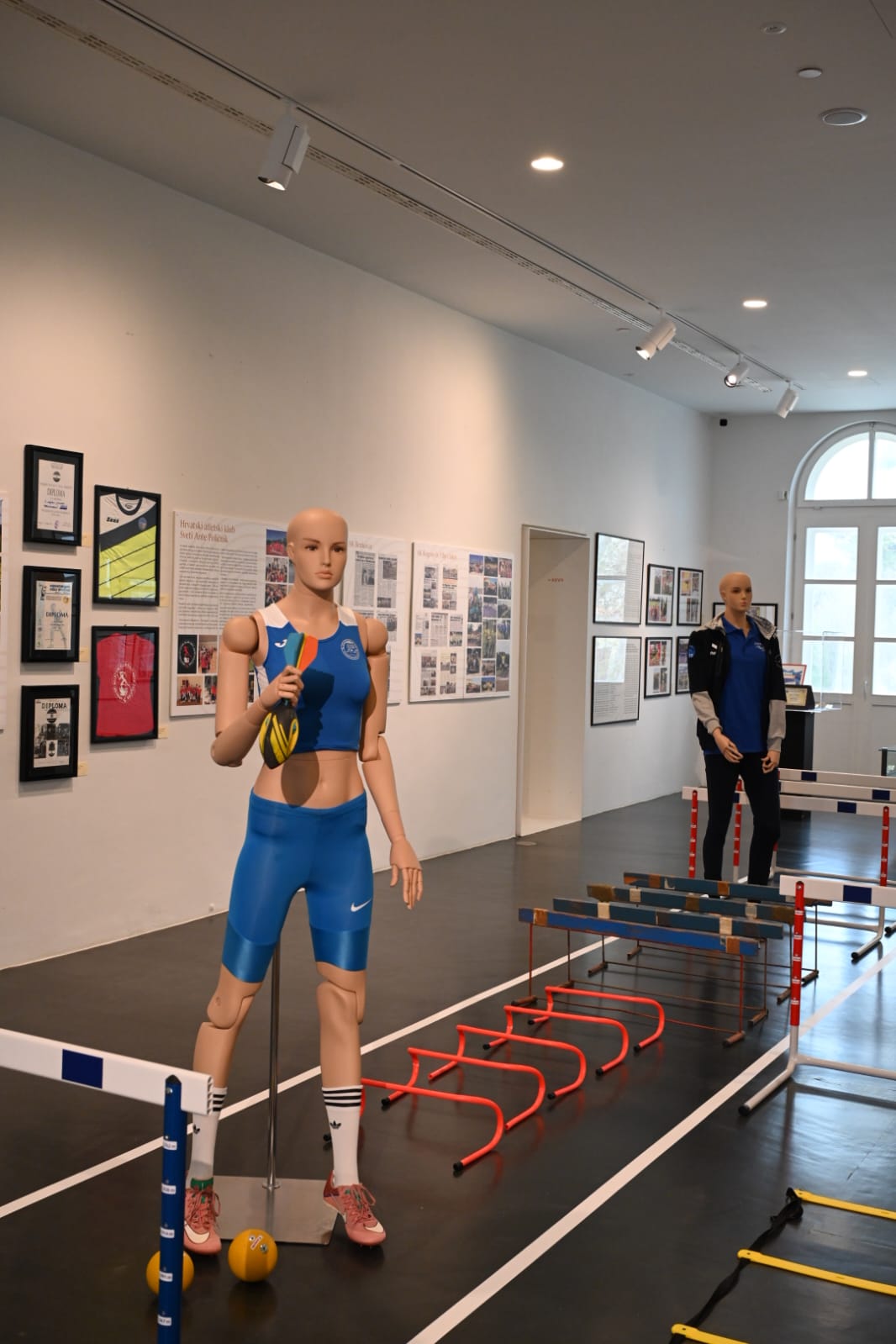 Atletika, plivanje, skokovi u vodu i vaterpolo