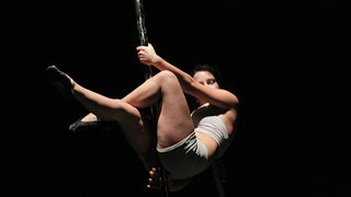 Image 1032881 (auto)