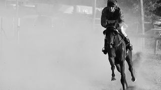 Polača: 14. Međunarodne konjičke utrke “Oluja 95”, Foto: Leo Banić Polača: 14. Međunarodne konjičke utrke “Oluja 95”, Foto: Leo Banić