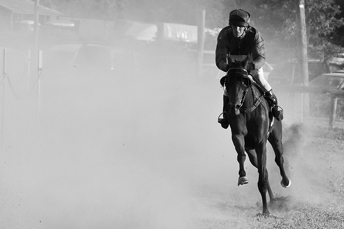 Polača: 14. Međunarodne konjičke utrke “Oluja 95”, Foto: Leo Banić Polača: 14. Međunarodne konjičke utrke “Oluja 95”, Foto: Leo Banić