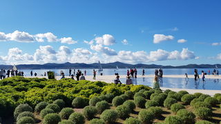 Zadarska Koka 2016. 22. listopada 2016. Foto: Mladen Malik Zadarska Koka 2016. 22. listopada 2016. Foto: Mladen Malik