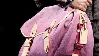 Torbice za proljeće 2010.