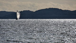 Regata Biograd Zadar Regata Biograd Zadar