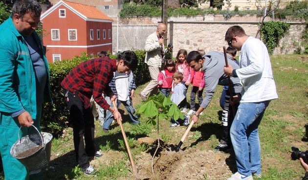 Učenici Prirodoslovno – grafičke škole i gimnazije Vladimira Nazora jutros su uz pomoć Nasada posadili u dvorištu svoje škole dva stabla divljeg kestena i jedan hibiskus