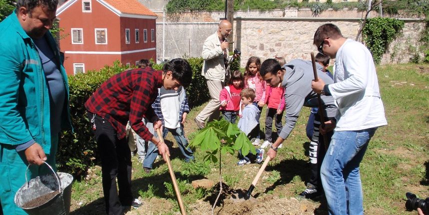 Učenici Prirodoslovno – grafičke škole i gimnazije Vladimira Nazora jutros su uz pomoć Nasada posadili u dvorištu svoje škole dva stabla divljeg kestena i jedan hibiskus Učenici Prirodoslovno – grafičke škole i gimnazije Vladimira Nazora jutros su uz pomoć Nasada posadili u dvorištu svoje škole dva stabla divljeg kestena i jedan hibiskus
