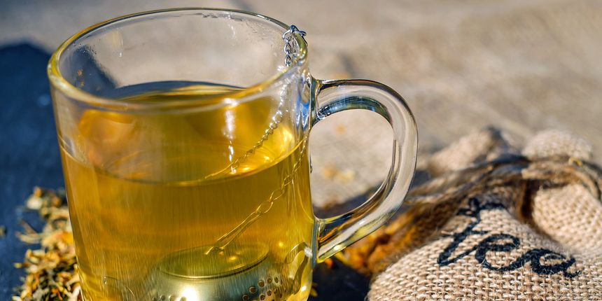 Stolisnik kao lijek: biljka čiji čaj prirodno liječi Stolisnik kao lijek: biljka čiji čaj prirodno liječi