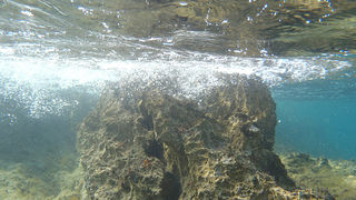 OLYMPUS DIGITAL CAMERA OLYMPUS DIGITAL CAMERA