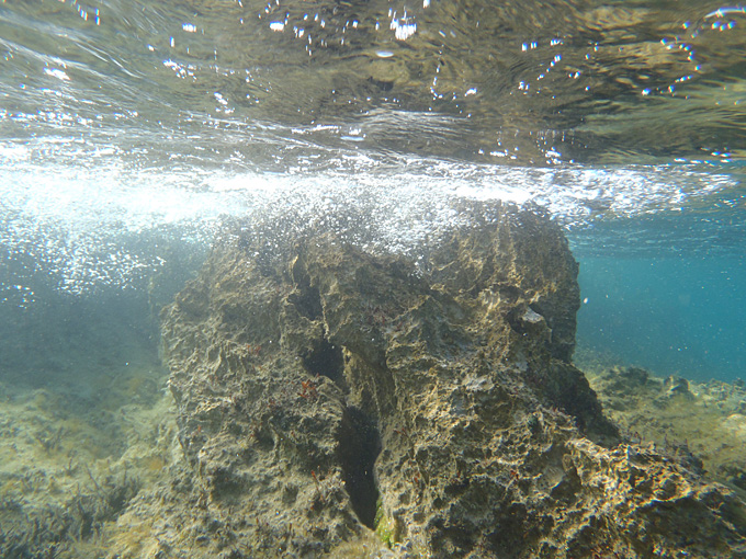 OLYMPUS DIGITAL CAMERA OLYMPUS DIGITAL CAMERA