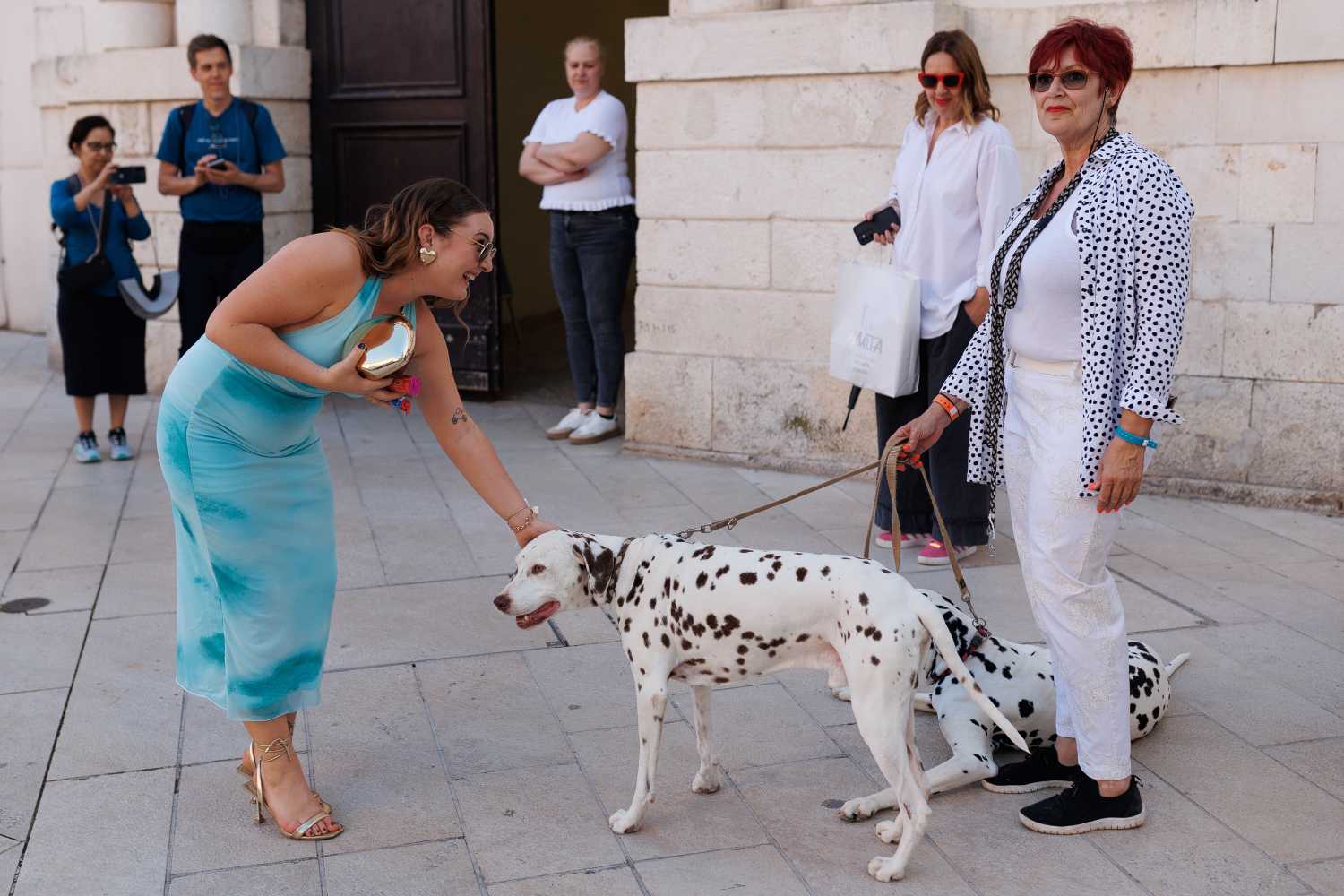 Red Carpet Dalmatian Walk @Trg pet bunara Red Carpet Dalmatian Walk @Trg pet bunara