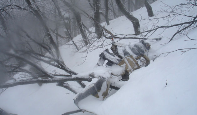 Pronađena Cessna (foto: MUP/Cropix)