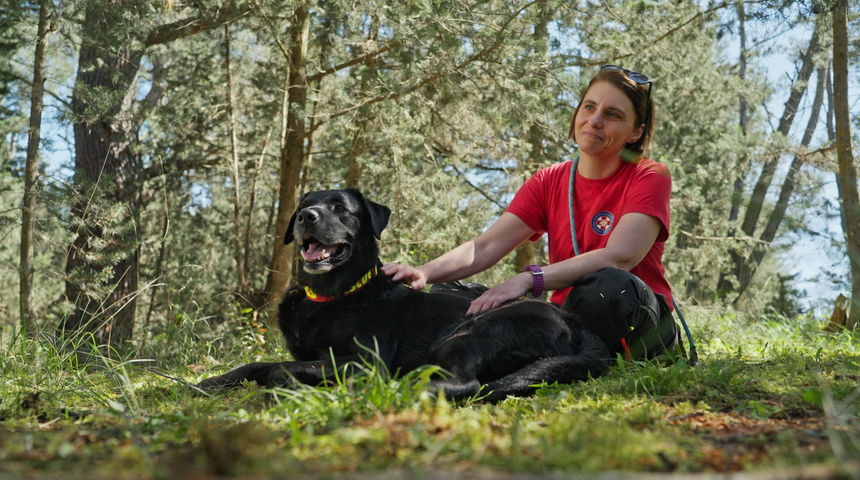 Heroj s njuškom: Bongo – Psi na zadatku Heroj s njuškom: Bongo – Psi na zadatku