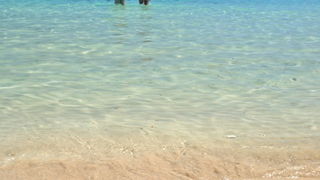 Dugi otok, 260609.
Dugi otok je jedva 1,5 sat udaljen od Zadra, jedan je od skrivenih Jadransih bisera. Sa raznolikom prirodom i plazama, cistim morem, on je namjenjen gostima koji vise cijene prirodu od zabave.
Na slici: morski Ambis podno Klifova.
Foto: