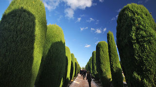 Blagdan Svih svetih (foto:Saša Čuka)