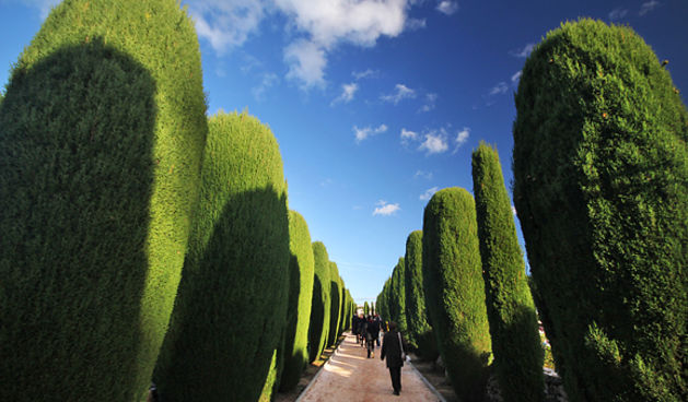 Blagdan Svih svetih (foto:Saša Čuka)