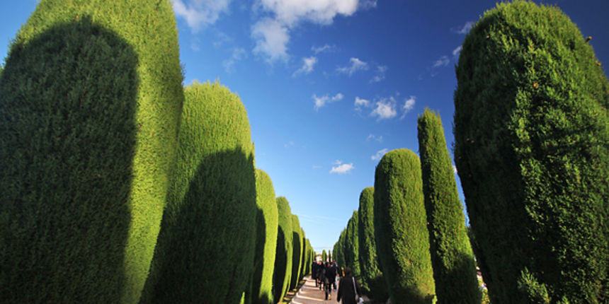 Blagdan Svih svetih (foto:Saša Čuka)