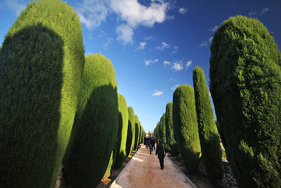 Blagdan Svih svetih (foto:Saša Čuka)
