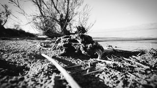 Crno bijela bajka na Kraljičinoj plaži, foto: Iva Perinčić