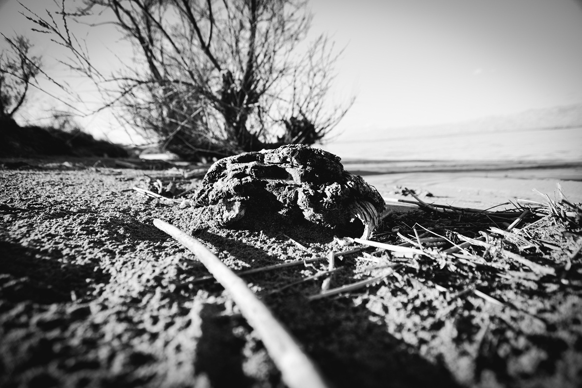 Crno bijela bajka na Kraljičinoj plaži, foto: Iva Perinčić