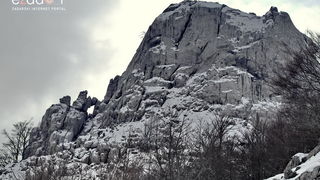 Tulove grede pod snježnim pokrivačem Tulove grede pod snježnim pokrivačem