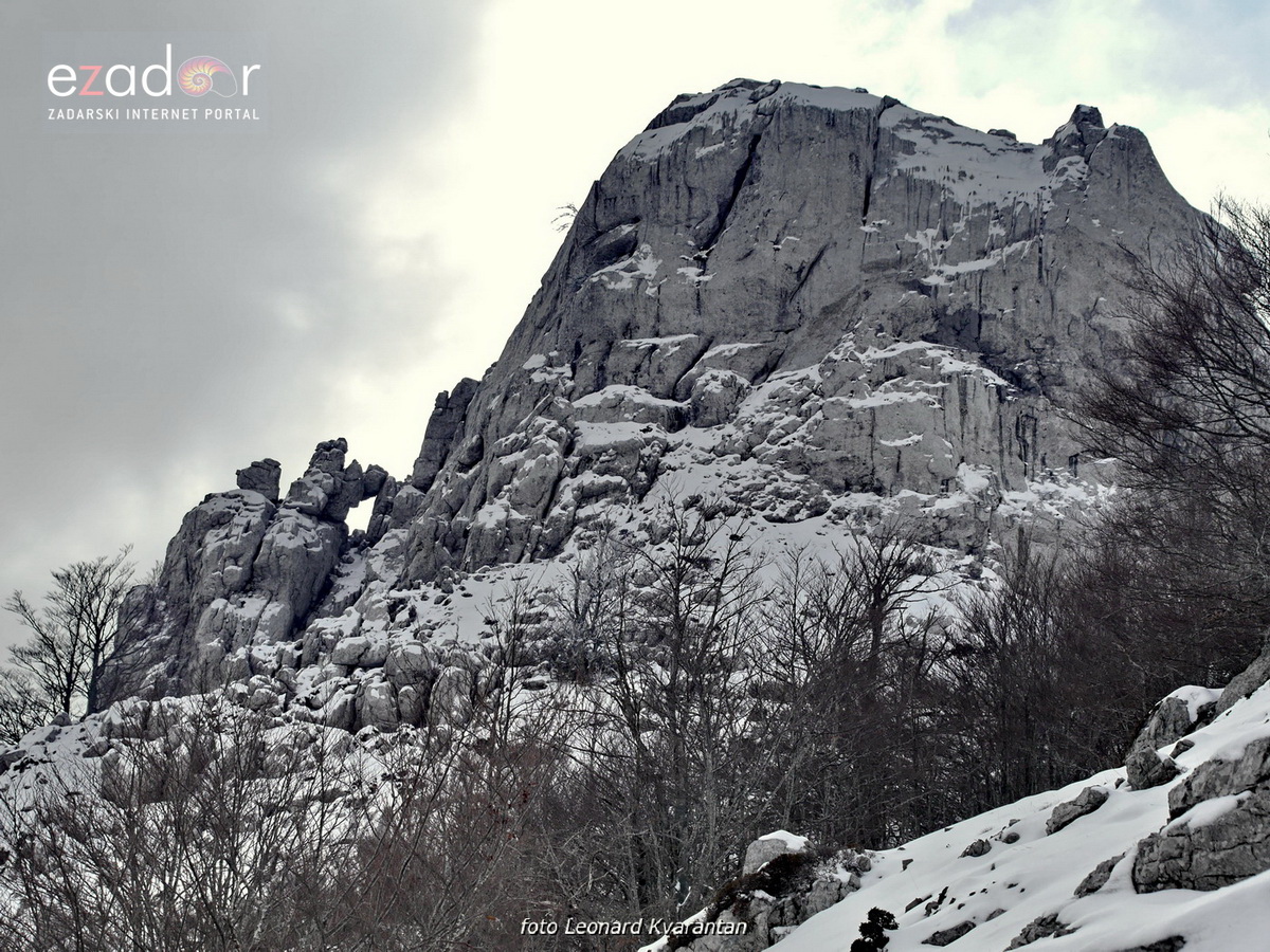 Tulove grede pod snježnim pokrivačem Tulove grede pod snježnim pokrivačem