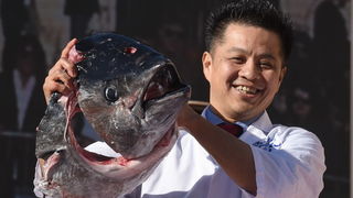 Velikom gastro-eno feštom na Forumu završen 2. “Tuna, Sushi & Wine Festival” Velikom gastro-eno feštom na Forumu završen 2. “Tuna, Sushi & Wine Festival”