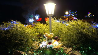 Cazma, 060412.
Obitelj Salaj iz Grabovnice kraj Cazme po prvi je put po uzoru na bozicni ugodjaj priredila i “Uskrsnu pricu”. Za tu su priliku imanje ukrasili s 2700 pisanica, zeceva, pilica i pijetlova koji svijetle po noci i ostavljaju posjetioce bez da