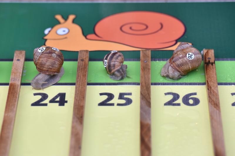 “Puževim korakom” Benkovac: 6. Prvenstvo Hrvatske u utrci puževa “Puževim korakom” Benkovac: 6. Prvenstvo Hrvatske u utrci puževa