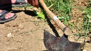 Zadarski beskucnici angazirani su na sadnji krumpira koji cini dio ponude pucke kuhinje u kojoj se i sami hrane. Photo: Dino Stanin/PIXSELL Zadarski beskucnici angazirani su na sadnji krumpira koji cini dio ponude pucke kuhinje u kojoj se i sami hrane. Photo: Dino Stanin/PIXSELL