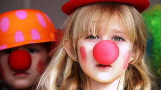 Virski karnevalić 2016. Virski karnevalić 2016.