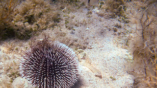 OLYMPUS DIGITAL CAMERA OLYMPUS DIGITAL CAMERA