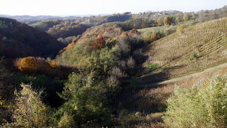 Varazdin, 301010.
Na podrucju brdovitog dijela opcine Vinice, koja je udaljena petnaest-ak kilometara od Varazdina ovih dana se moze vidjeti predivan spektar boja koje su nam dostupne samo nekoliko dana u godini.
Naime, pocetak opadanja lisca s drveca i p Varazdin, 301010.
Na podrucju brdovitog dijela opcine Vinice, koja je udaljena petnaest-ak kilometara od Varazdina ovih dana se moze vidjeti predivan spektar boja koje su nam dostupne samo nekoliko dana u godini.
Naime, pocetak opadanja lisca s drveca i p