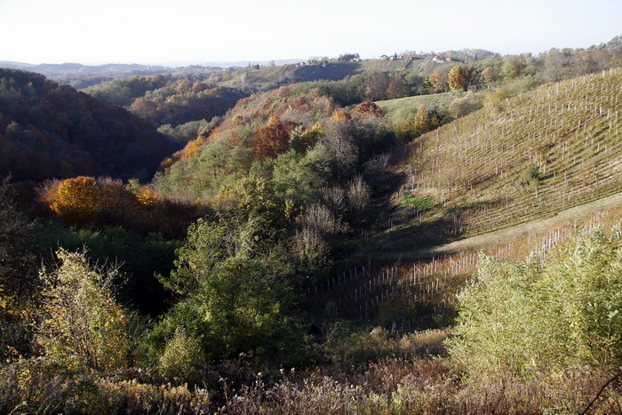 Varazdin, 301010.
Na podrucju brdovitog dijela opcine Vinice, koja je udaljena petnaest-ak kilometara od Varazdina ovih dana se moze vidjeti predivan spektar boja koje su nam dostupne samo nekoliko dana u godini.
Naime, pocetak opadanja lisca s drveca i p Varazdin, 301010.
Na podrucju brdovitog dijela opcine Vinice, koja je udaljena petnaest-ak kilometara od Varazdina ovih dana se moze vidjeti predivan spektar boja koje su nam dostupne samo nekoliko dana u godini.
Naime, pocetak opadanja lisca s drveca i p