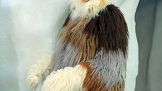 Paris Fashion Week: Chanel jesen 2010 (Coutorture.com)