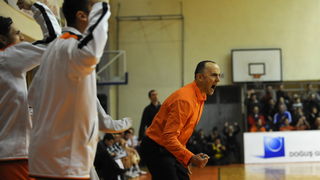 Sibenik ,170213.
Dvorana Baldekin 
Derbi utakmica izmedju GKK Sibenik i Sonik Puntamika Zadar za prvaka A2 Hrvatske kosarkaske lige Jug.
Na fotografiji: Jeronimo Sarin trener Sibenika.
Foto: Niksa Stipanicev / CROPIX