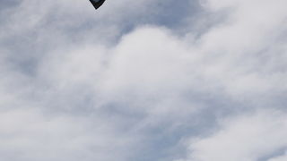 Zadar, 230610.
Bura na podrucju Nina najvise razveseli surfere i kitere koji uzivaju surfajuci okolnim plazama.
Foto : Vladimir Ivanov / CROPIX