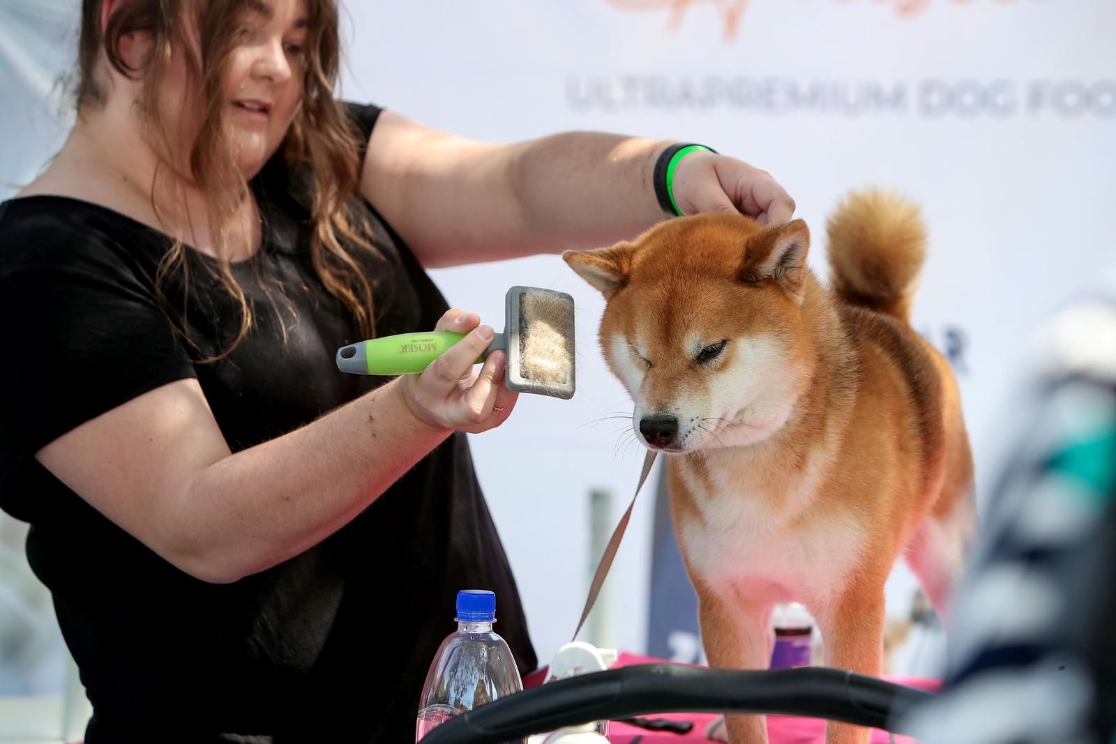 Međunarodna izložba pasa CACIB 2023