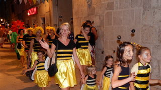 Paški ljetni karneval 2014. Paški ljetni karneval 2014.