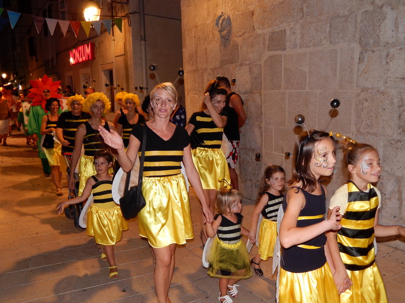 Paški ljetni karneval 2014. Paški ljetni karneval 2014.