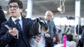 Izložba pasa na Zagrebačkom velesajmu Izložba pasa na Zagrebačkom velesajmu