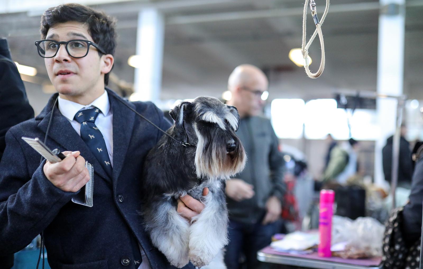 Izložba pasa na Zagrebačkom velesajmu Izložba pasa na Zagrebačkom velesajmu