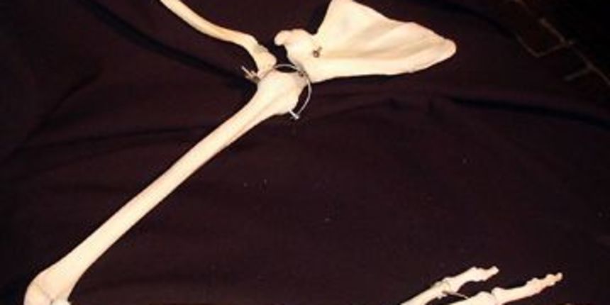 Image 1206399 (auto) Image 1206399 (auto)