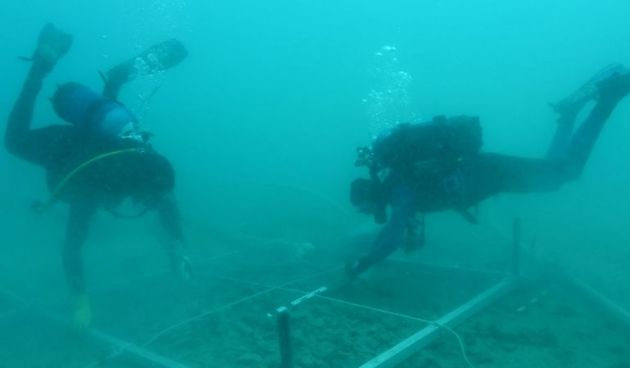 Pag: U podmorju rta sv. Nikole pronađeni keramička lula i keramička posuda za proizvodnju šećera