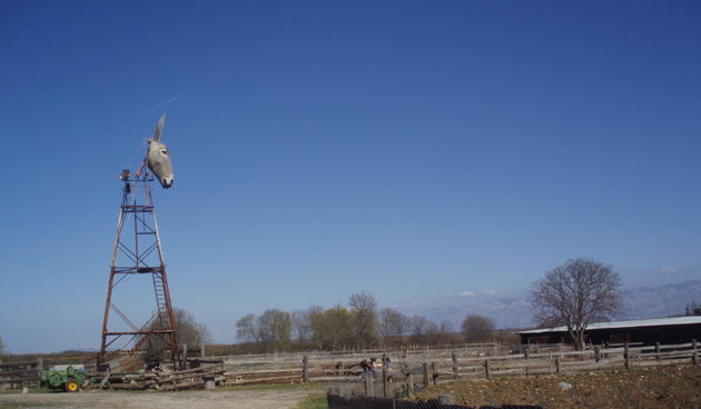 Farma “Dar-mar”, subotnja šetnja