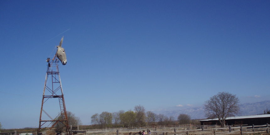 Farma “Dar-mar”, subotnja šetnja Farma “Dar-mar”, subotnja šetnja