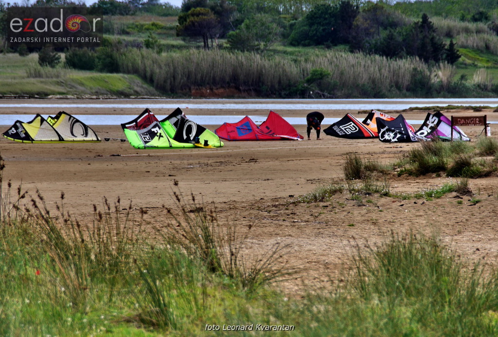 Kiteri guštali u refulima ninske bure Kiteri guštali u refulima ninske bure